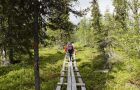 Fördelar med att besöka Norrbotten